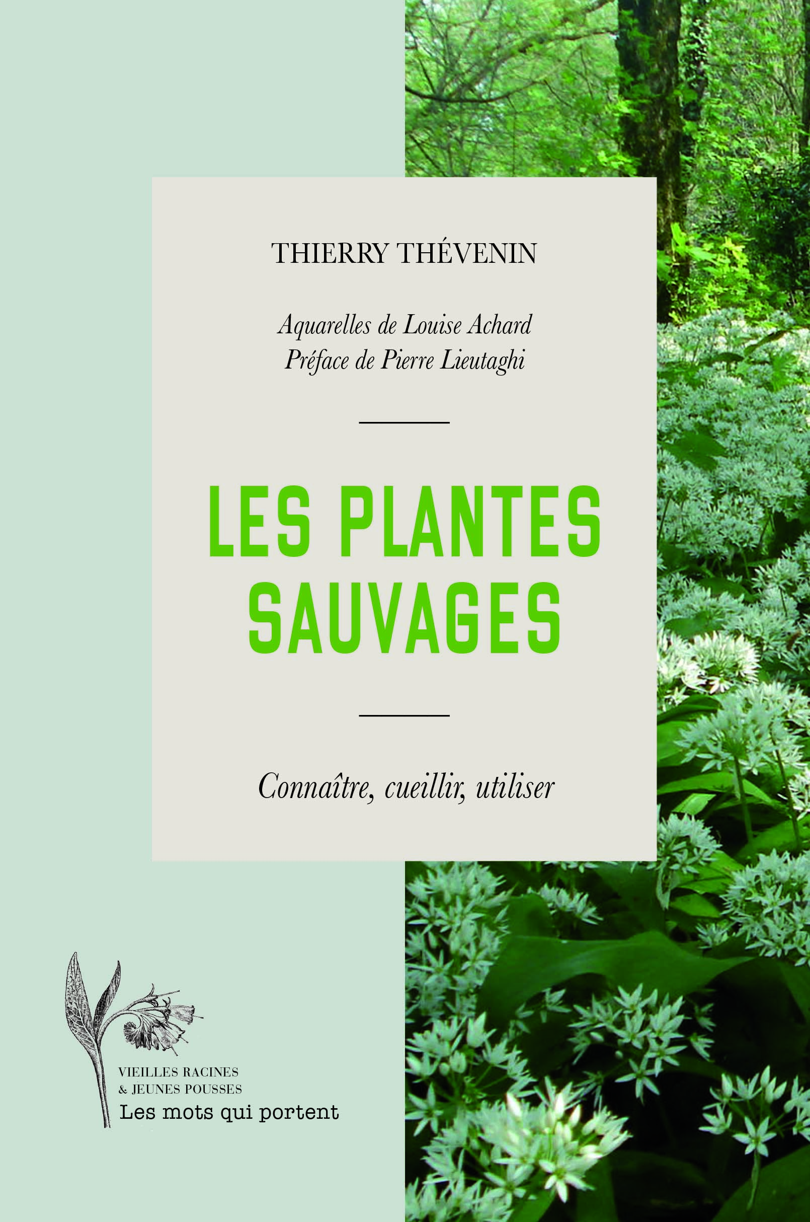 Les plantes sauvages